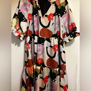 Super fun Crosby by Mollie Burch dress. Fully lined dress
